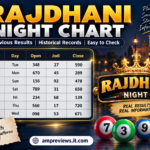 Rajdhani Night Chart showing previous results and historical number records
